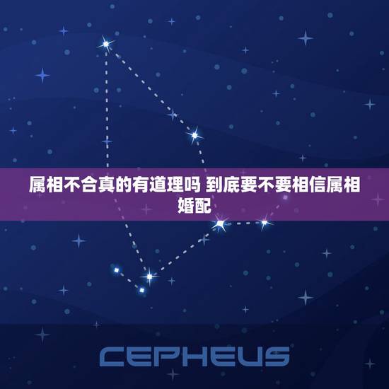属相不合真的有道理吗 到底要不要相信属相婚配