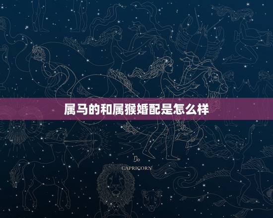 属马的和属猴婚配是怎么样，属马和属猴的相配吗