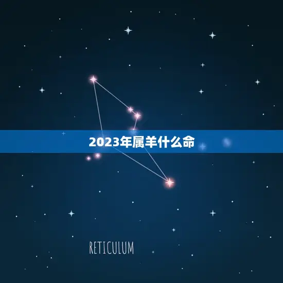 2023年属羊什么命