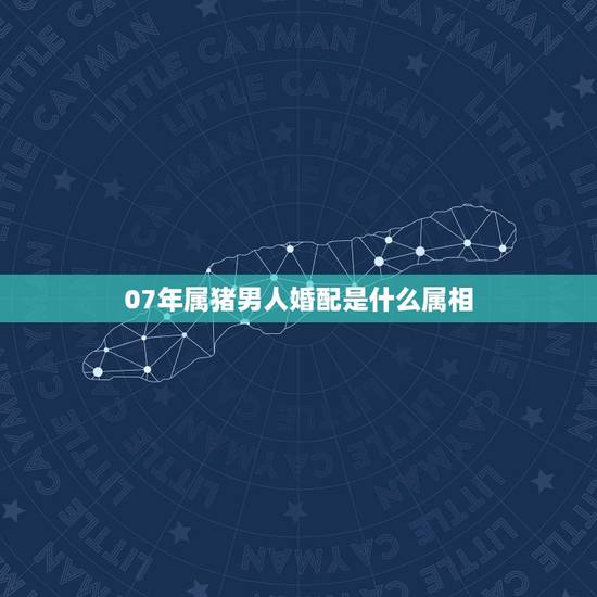 07年属猪男人婚配是什么属相,1971年属猪的人和什么属相相配 07年属猪男人婚配是什么属相,1971年属猪的人和什么属相相配