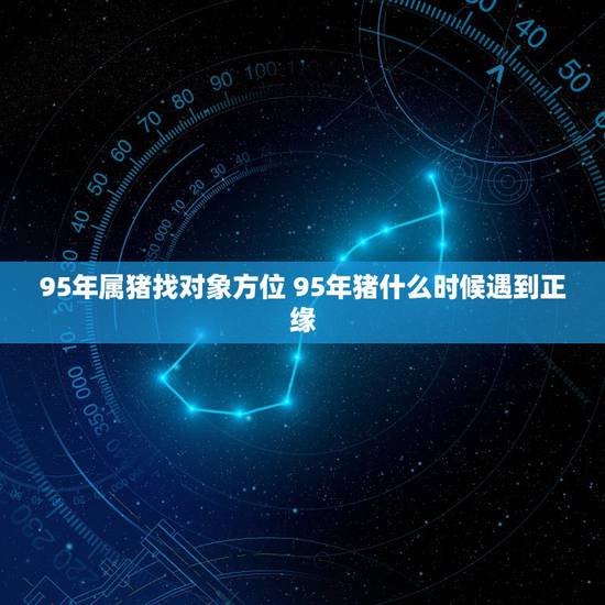 95年属猪找对象方位 95年猪什么时候遇到正缘