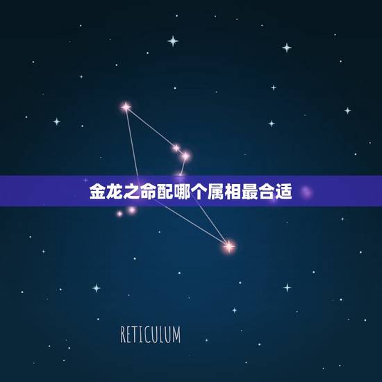 金龙之命配哪个属相最合适,男属龙的和什么属相最配 金龙之命配哪个属相最合适,男属龙的和什么属相最配
