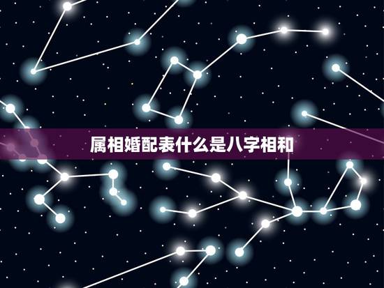 属相婚配表什么是八字相和,为什么合婚的时候,要结合生肖和八字? 属相婚配表什么是八字相和,为什么合婚的时候,要结合生肖和八字?