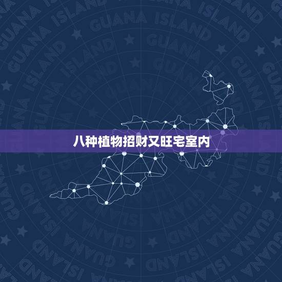 八种植物招财又旺宅室内，在客厅里养植物都有哪些风水讲究