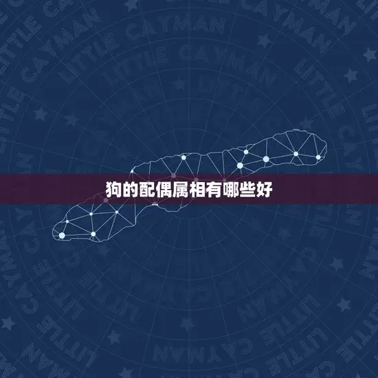 狗的配偶属相有哪些好