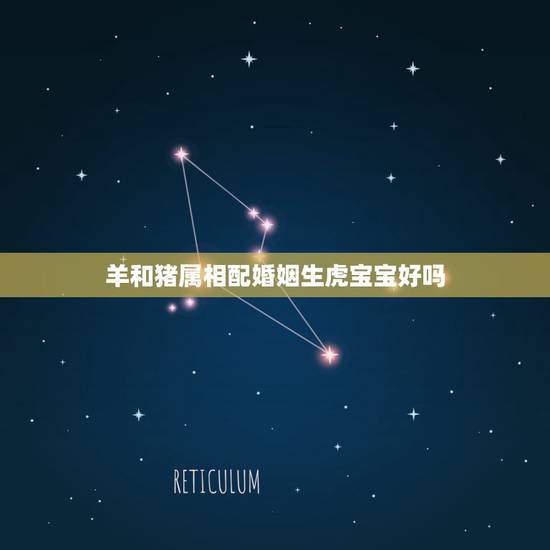 羊和猪属相配婚姻生虎宝宝好吗，属蛇女和属虎男婚姻怎样