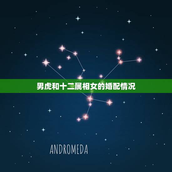 男虎和十二属相女的婚配情况，男属虎和女属龙的属相婚配合适吗