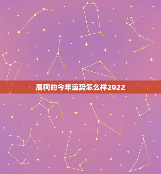 属狗的今年运势怎么样2022，今年属狗的运势
