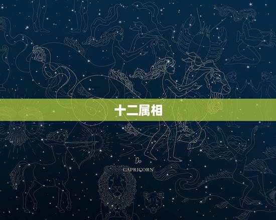 十二属相,十二生肖的顺序 十二属相,十二生肖的顺序