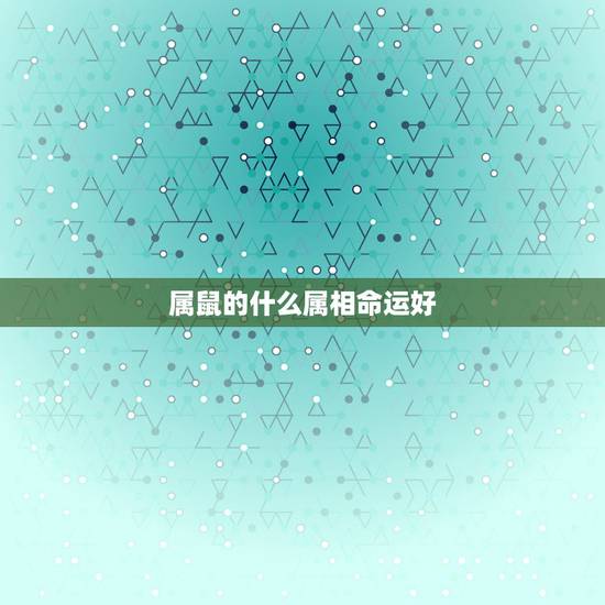 属鼠的什么属相命运好,属鼠人命运 属鼠的什么属相命运好,属鼠人命运