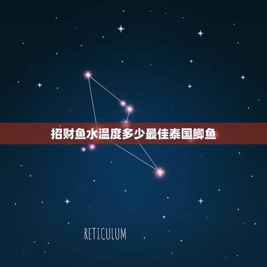 招财鱼水温度多少最佳泰国鲫鱼,养招财鱼水温控制在多少 招财鱼水温度多少最佳泰国鲫鱼,养招财鱼水温控制在多少