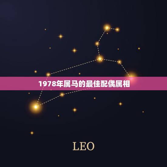 1978年属马的最佳配偶属相,属马的最佳配偶 1978年属马的最佳配偶属相,属马的最佳配偶