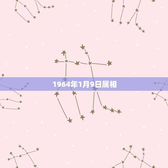 1964年1月9日属相,2023年1月17号4点55生的男孩属相是什么 1964年1月9日属相,2023年1月17号4点55生的男孩属相是什么