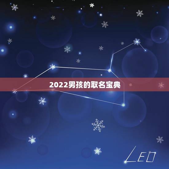 2022男孩的取名宝典,吴姓男孩取名 2022男孩的取名宝典,吴姓男孩取名