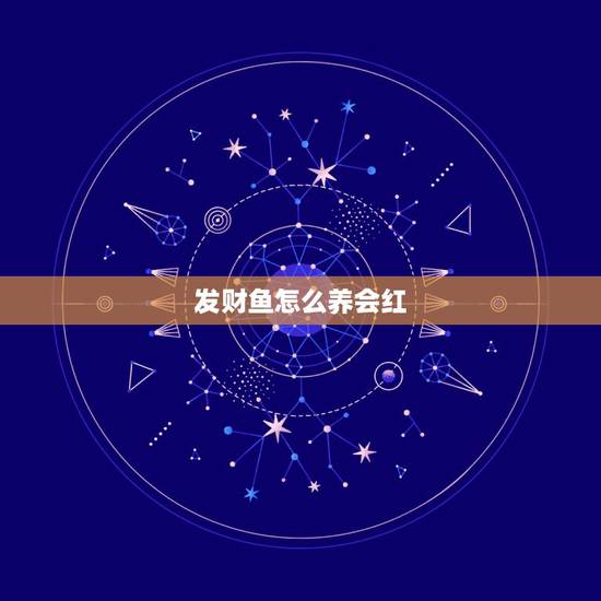 发财鱼怎么养会红，发财鱼要怎么养？