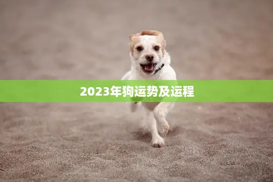 2023年狗运势及运程(狗狗们的未来如何)