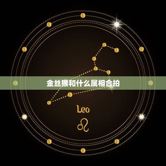 金丝猴和什么属相合拍，十二生肖相生相克
