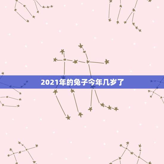 2021年的兔子今年几岁了，2021年属兔的多大年龄？