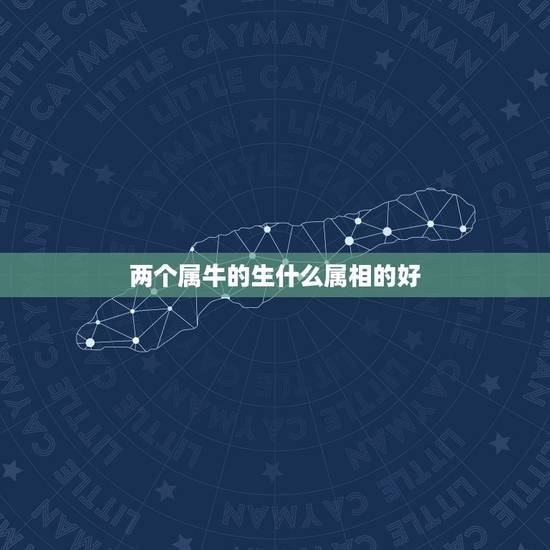 两个属牛的生什么属相的好，属牛要什么属相的孩子好