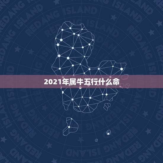 2021年属牛五行什么命,2021年五行属什么命 2021年属牛五行什么命,2021年五行属什么命