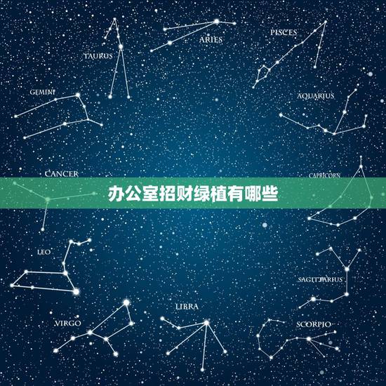 办公室招财绿植有哪些，办公室适合放什么绿植