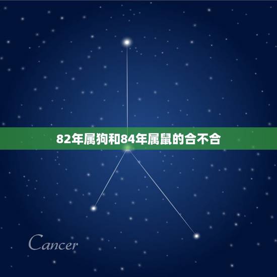 82年属狗和84年属鼠的合不合，我是1982年属狗的，他是1984年属