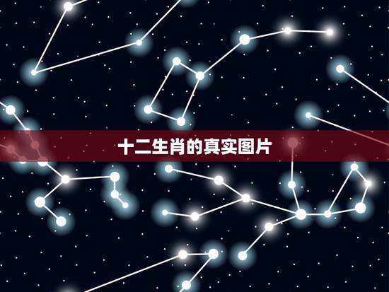 十二生肖的真实图片,请问那张图片谁有啊 十二生肖一张图 上面是十二个人 十二生肖的真实图片,请问那张图片谁有啊 十二生肖一张图 上面是十二个人