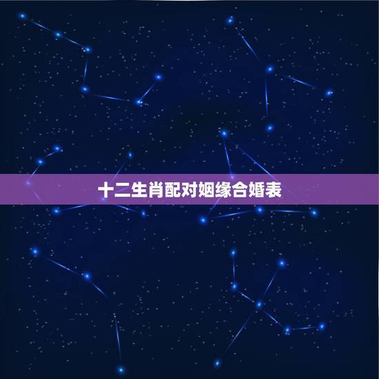 十二生肖配对姻缘合婚表,十二生肖配对姻缘 十二生肖配对姻缘合婚表,十二生肖配对姻缘