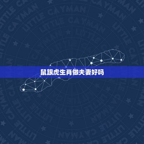 鼠跟虎生肖做夫妻好吗，男鼠女虎能过一辈子吗