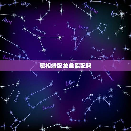 属相婚配龙鱼能配吗,星点龙鱼该和什么鱼混养? 属相婚配龙鱼能配吗,星点龙鱼该和什么鱼混养?