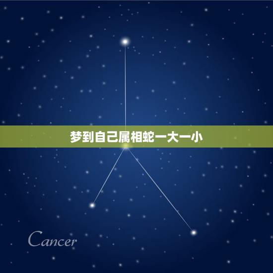 梦到自己属相蛇一大一小,梦见自己的属相蛇 梦到自己属相蛇一大一小,梦见自己的属相蛇