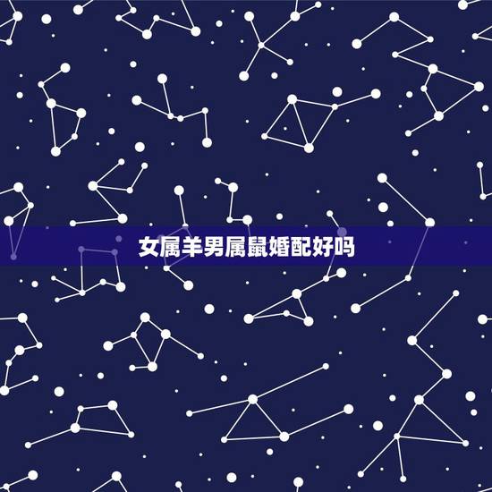 女属羊男属鼠婚配好吗，79年属羊女2022 年运势