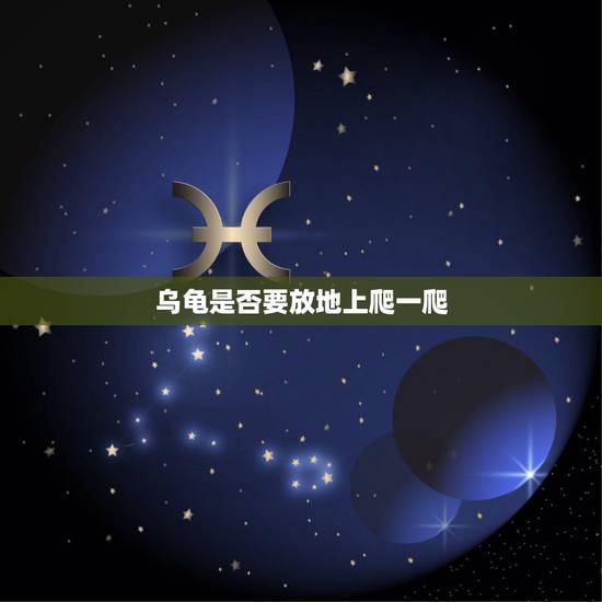 乌龟是否要放地上爬一爬，乌龟放在地板上爬问题