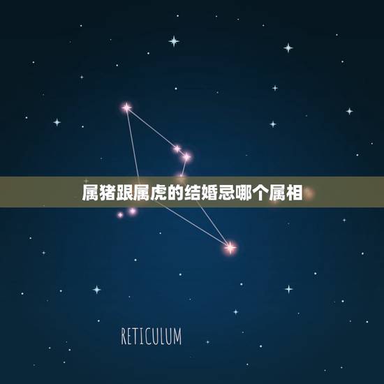 属猪跟属虎的结婚忌哪个属相，属猪的为什么不能和属虎的结婚