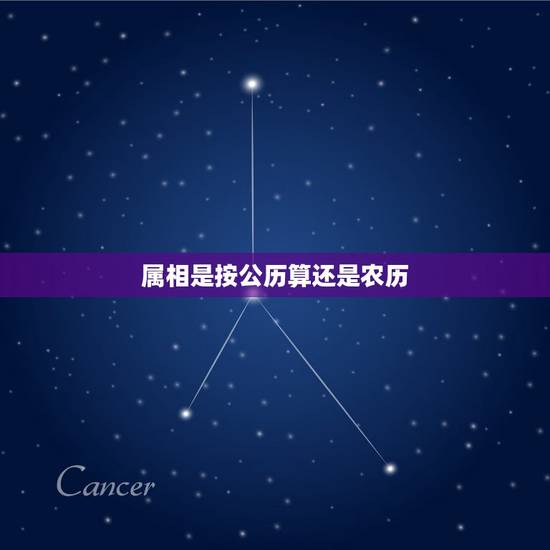 属相是按公历算还是农历,生肖属相是按阴历算.还是按阳历算 属相是按公历算还是农历,生肖属相是按阴历算.还是按阳历算