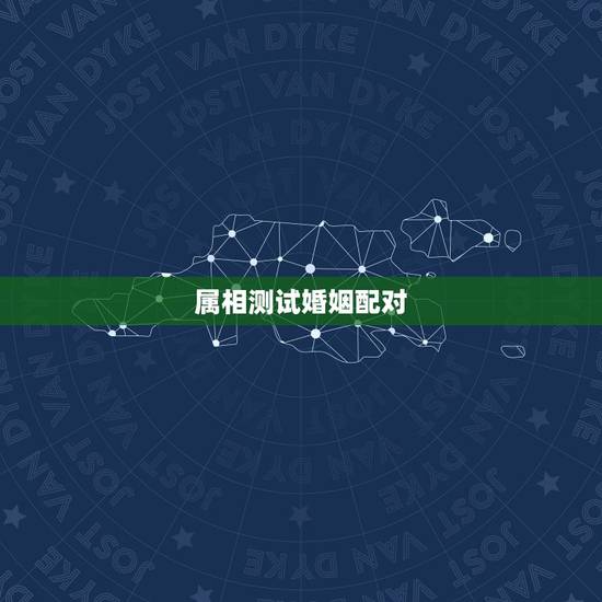 属相测试婚姻配对，十二生肖婚姻配对大全？