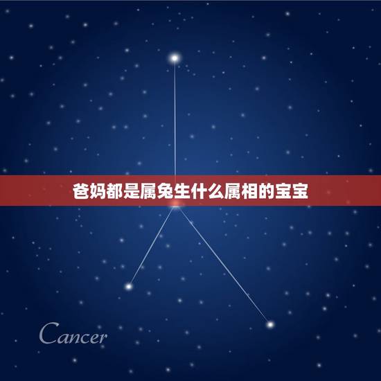 爸妈都是属兔生什么属相的宝宝,父母都属兔要什么属相的孩子 爸妈都是属兔生什么属相的宝宝,父母都属兔要什么属相的孩子