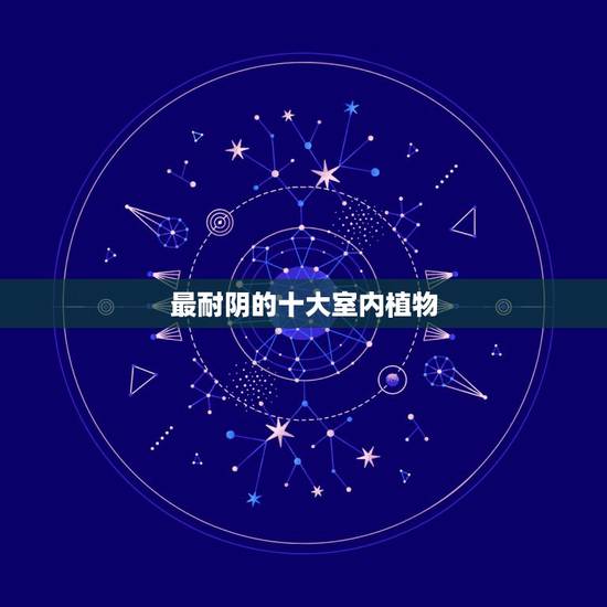 最耐阴的十大室内植物,较耐阴的植物有哪些,适宜室内养植? 最耐阴的十大室内植物,较耐阴的植物有哪些,适宜室内养植?
