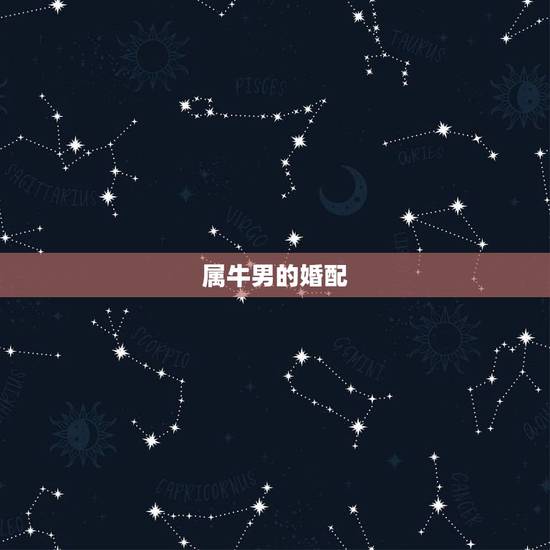属牛男的婚配，属牛男和什么属相婚配克夫