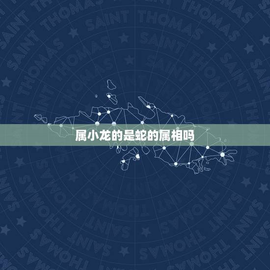 属小龙的是蛇的属相吗,人们为什么称属蛇的为属小龙? 属小龙的是蛇的属相吗,人们为什么称属蛇的为属小龙?