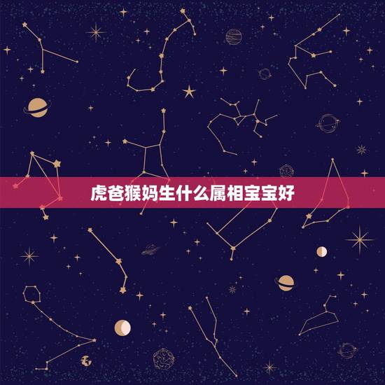 虎爸猴妈生什么属相宝宝好，写爸爸的作文500字