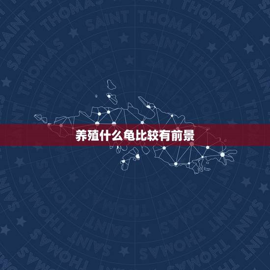 养殖什么龟比较有前景,现在养哪种龟有市场前景,未来升值空间巨大的 养殖什么龟比较有前景,现在养哪种龟有市场前景,未来升值空间巨大的