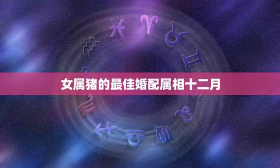 女属猪的最佳婚配属相十二月，属猪女和什么属相最配