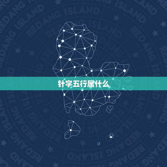 针字五行属什么，什么字五行是属金的