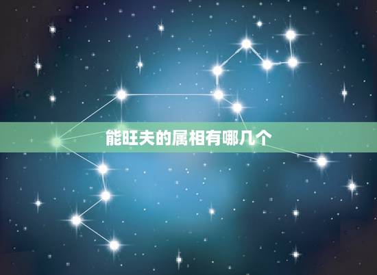 能旺夫的属相有哪几个,旺夫又带财的三大生肖女 能旺夫的属相有哪几个,旺夫又带财的三大生肖女