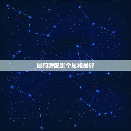 属狗婚配哪个属相最好,属狗女配什么属相好 属狗婚配哪个属相最好,属狗女配什么属相好