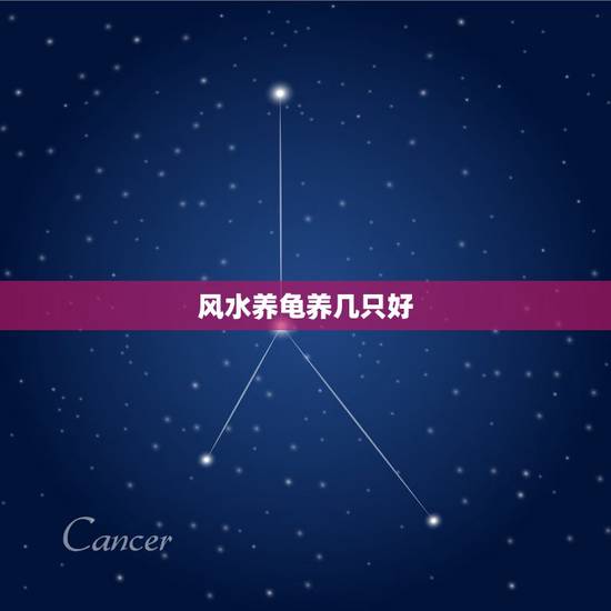 风水养龟养几只好，乌龟养几只比较吉利