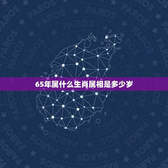 65年属什么生肖属相是多少岁,1965年属 什么生肖 65年属什么生肖属相是多少岁,1965年属 什么生肖