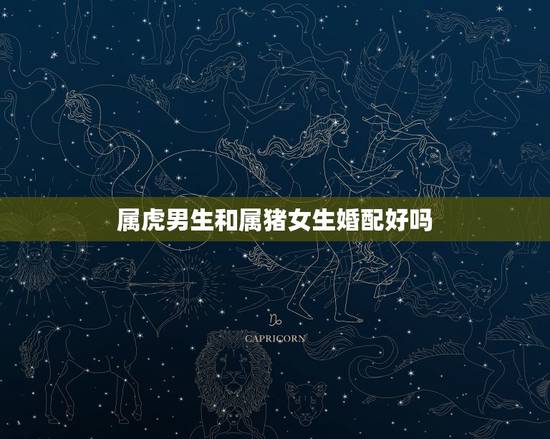属虎男生和属猪女生婚配好吗,属虎男与属猪女相配吗? 属虎男生和属猪女生婚配好吗,属虎男与属猪女相配吗?