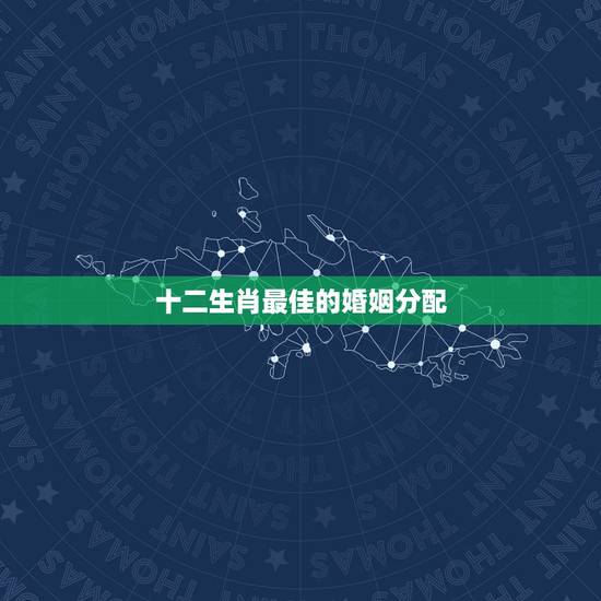 十二生肖最佳的婚姻分配,十二生肖最佳配偶 十二生肖最佳的婚姻分配,十二生肖最佳配偶